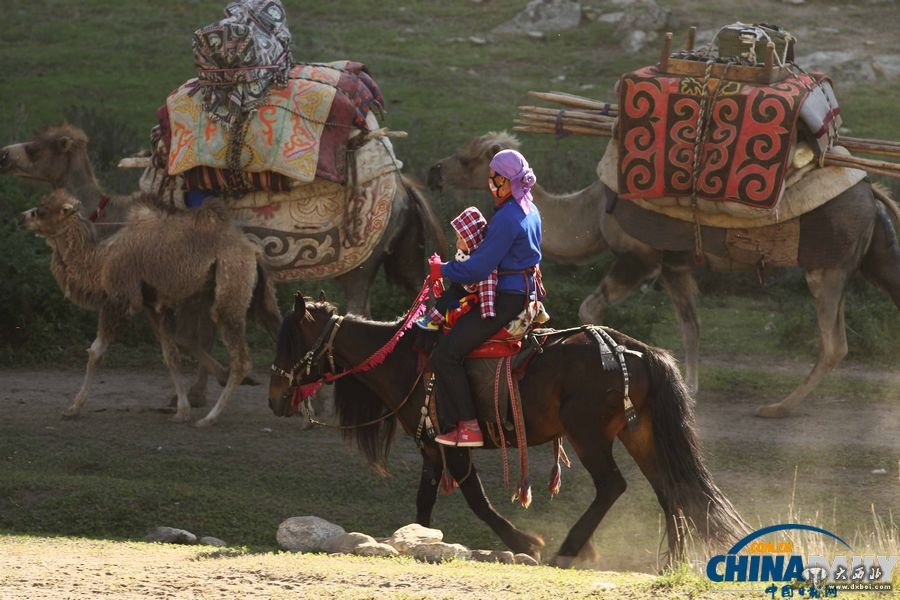 新疆阿勒泰牧民转场壮景 