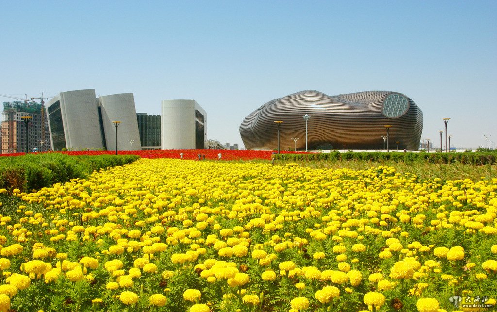 草原新兴城市鄂尔多斯