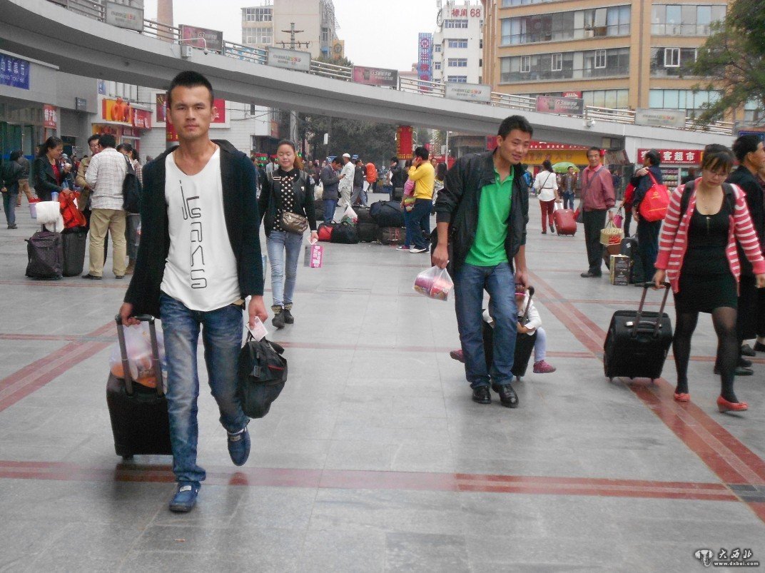 庆阳带字苹果100元1个 SOD蜜培养