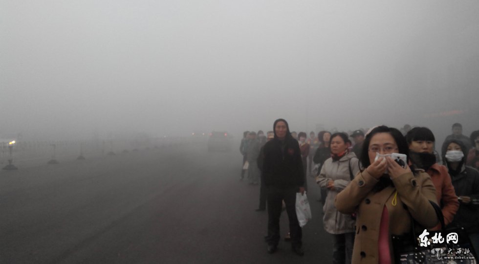 哈尔滨遭异常雾霾天气笼罩 学校停课部分公交停运