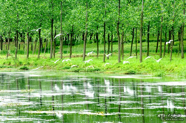 临河黄河湿地公园迷人景色