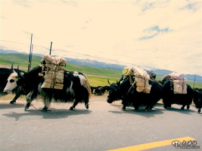 朱丽燕摄影作品