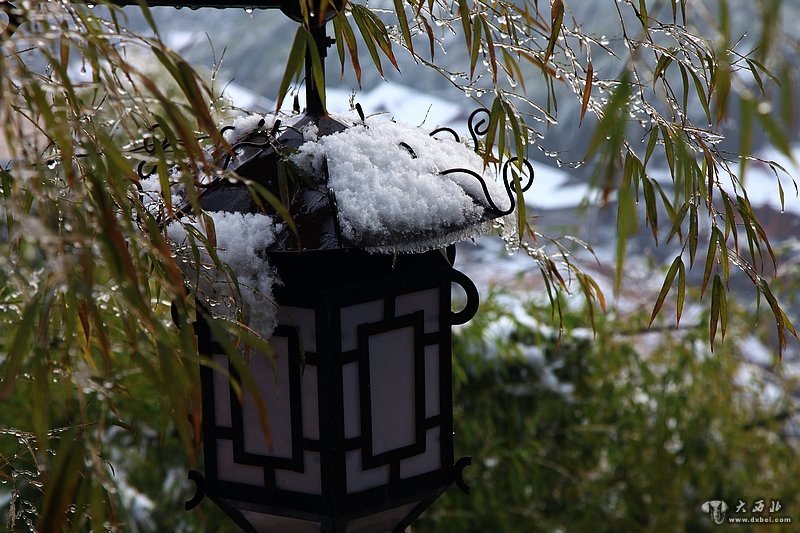 翠甲天下的蜀南竹海