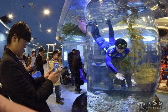 中国•兰州2015冬春季旅游“海洋之旅”启动