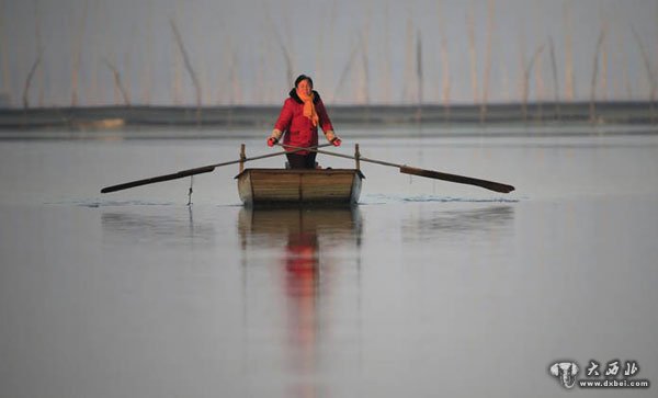 江苏淮安水域3月1日起全面禁渔三个月