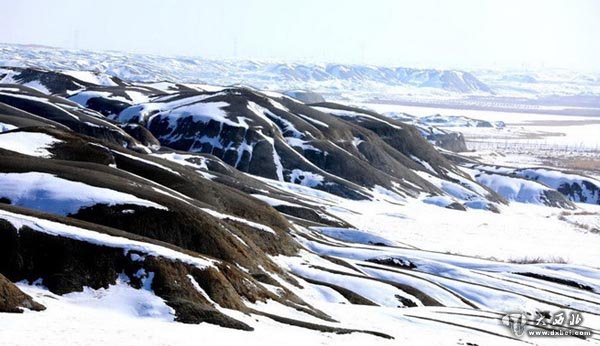 新疆北屯丰庆湖国家湿地公园融雪美如画