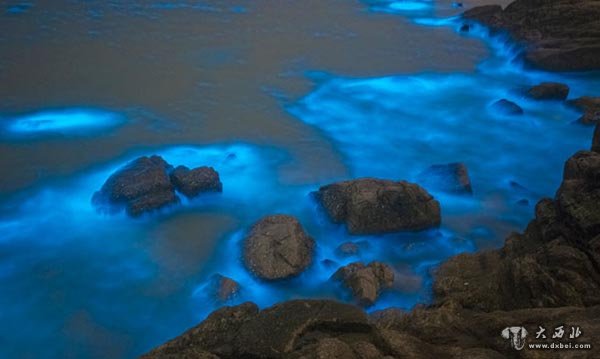 福州长乐海滩现荧光海
