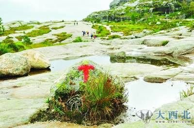 挪威布道石 全球最壮丽景观(组图)