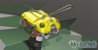 水下清道夫。 水下清道夫。