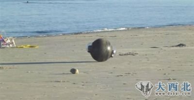 间谍机器人。 间谍机器人。