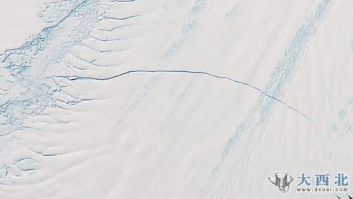 松树岛冰川上的巨大裂缝 松树岛冰川上的巨大裂缝