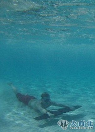 经过一年多的改进和测试,“水下滑翔翼”模型已经开始在全球在线销售。 经过一年多的改进和测试,“水下滑翔翼”模型已经开始在全球在线销售。