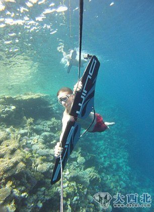 “水下滑翔翼”速度可达到当今世界级游泳运动员最高记录的两到三倍。 “水下滑翔翼”速度可达到当今世界级游泳运动员最高记录的两到三倍。