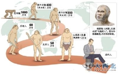 人类进化过程示意图 人类进化过程示意图