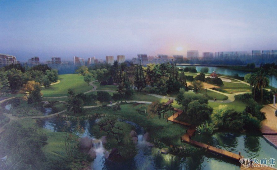 湿地公园规划图全景