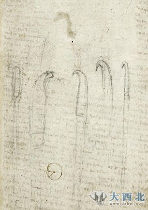 达芬奇在笔记本中描绘的解剖工具