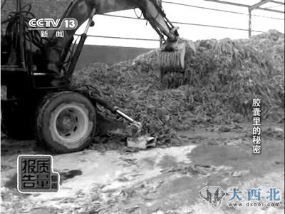 铲车在翻搅生产工业明胶的皮革边角料。 铲车在翻搅生产工业明胶的皮革边角料。