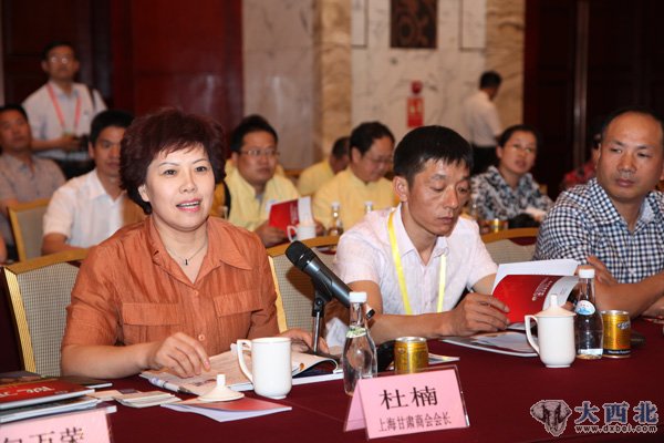 上海甘肃商会会长杜楠发言。 贾笑云