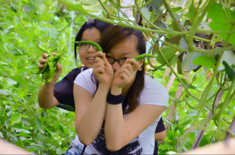 本网“兰州圈子”频道组织网友重拾儿时游戏