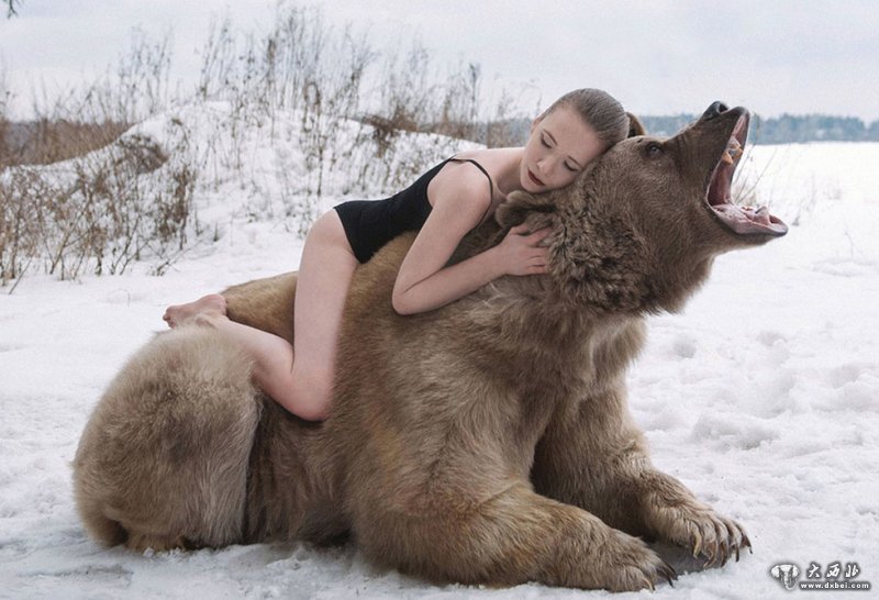 俄美女模特雪地里拥抱灰熊反对猎杀动物(高清组图)