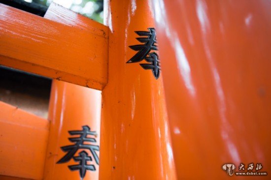 浪漫樱花祭 佳能5D Mark III日本行摄之旅