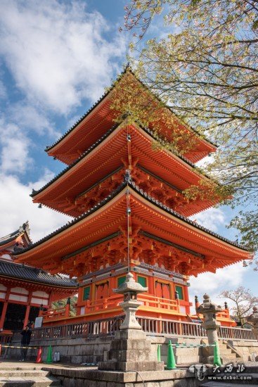 浪漫樱花祭 佳能5D Mark III日本行摄之旅