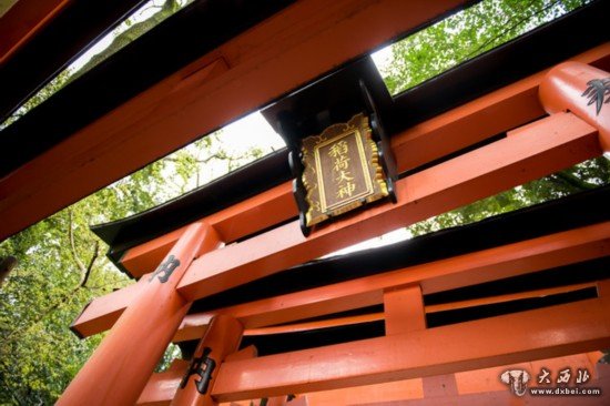 浪漫樱花祭 佳能5D Mark III日本行摄之旅