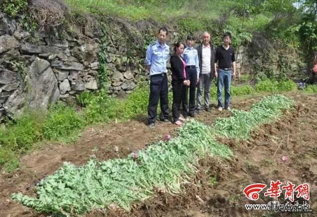 点击图片进入下一页