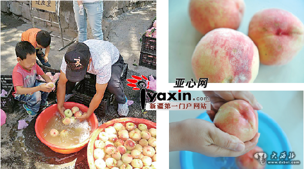 乌鲁木齐市民拍到小贩洗桃 医生建议买桃子选带毛的 乌鲁木齐市民拍到小贩洗桃 医生建议买桃子选带毛的