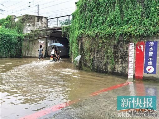 吞人涵洞”逢雨必淹,仍无法阻挡行人单车等通过。新快报记者 李辰曦 罗汉章/摄 吞人涵洞”逢雨必淹,仍无法阻挡行人单车等通过。新快报记者 李辰曦 罗汉章/摄
