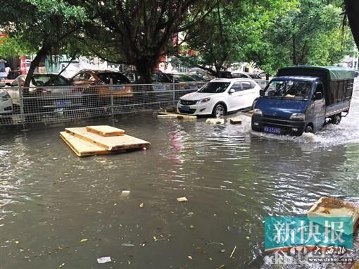 棠乐路水浸黑点,垃圾漂在马路中央。新快报记者 李辰曦 罗汉章/摄 棠乐路水浸黑点,垃圾漂在马路中央。新快报记者 李辰曦 罗汉章/摄