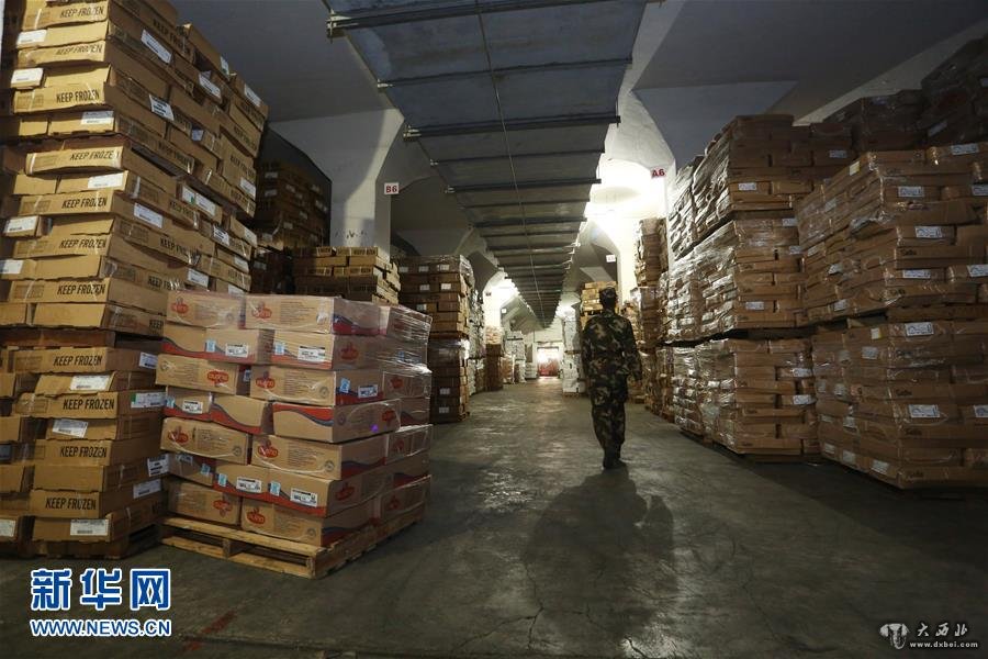 (法制)(4)广东边防查获特大走私冻品案