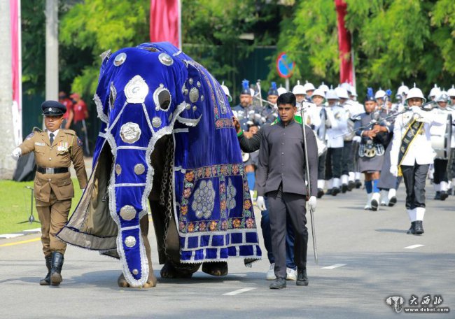 斯里兰卡举行阅兵式庆祝独立73周年